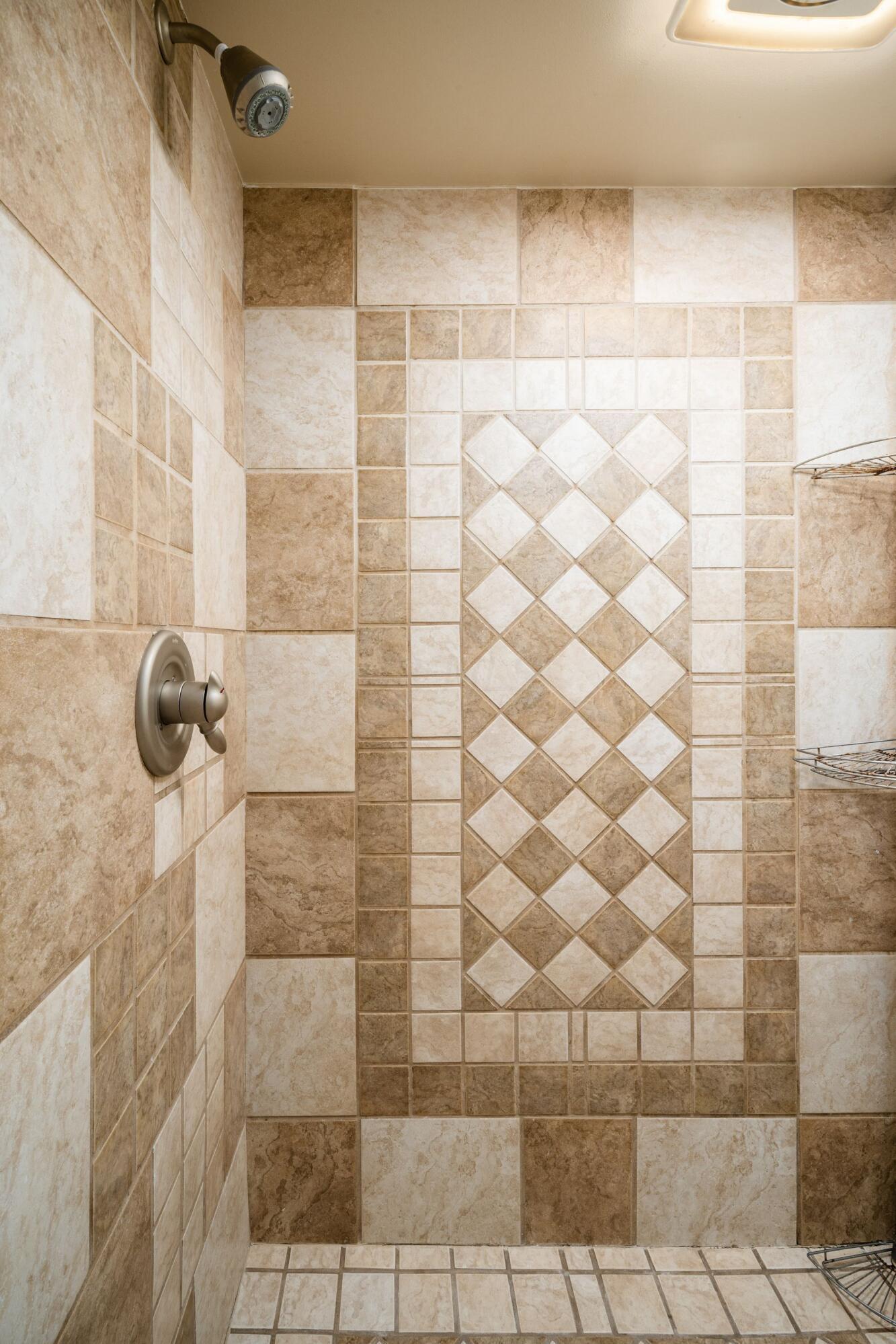 6028 Dublin Road Dublin, OH 43017 - Photo 48 of 91 Shower