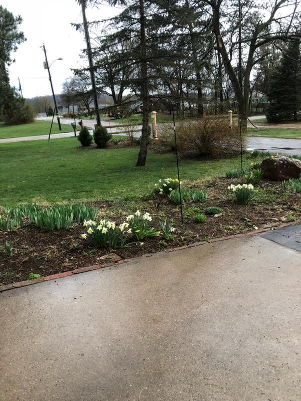 416 Herman Street Arena, WI 53503 - Photo 30 of 49