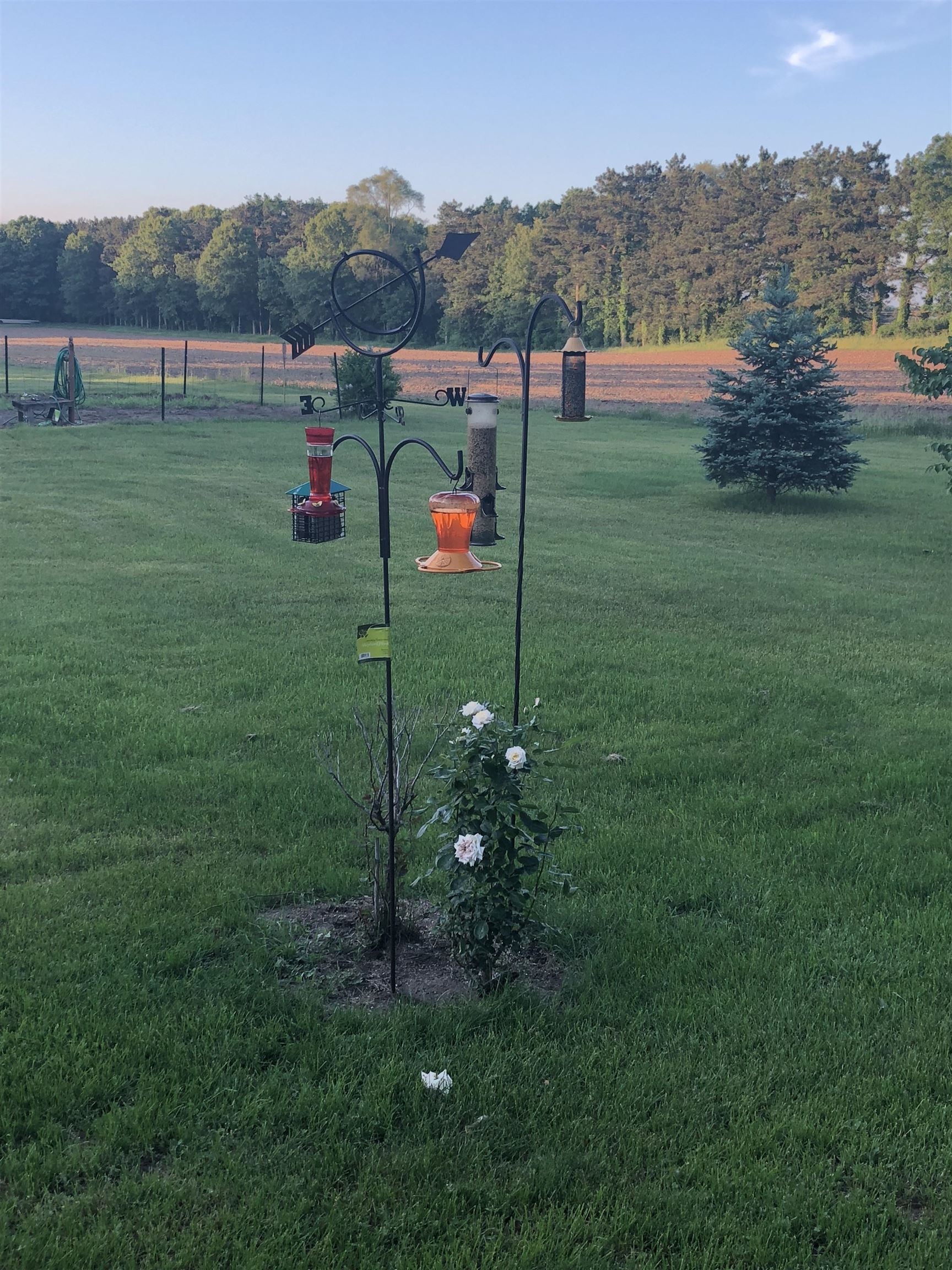 416 Herman Street Arena, WI 53503 - Photo 35 of 49