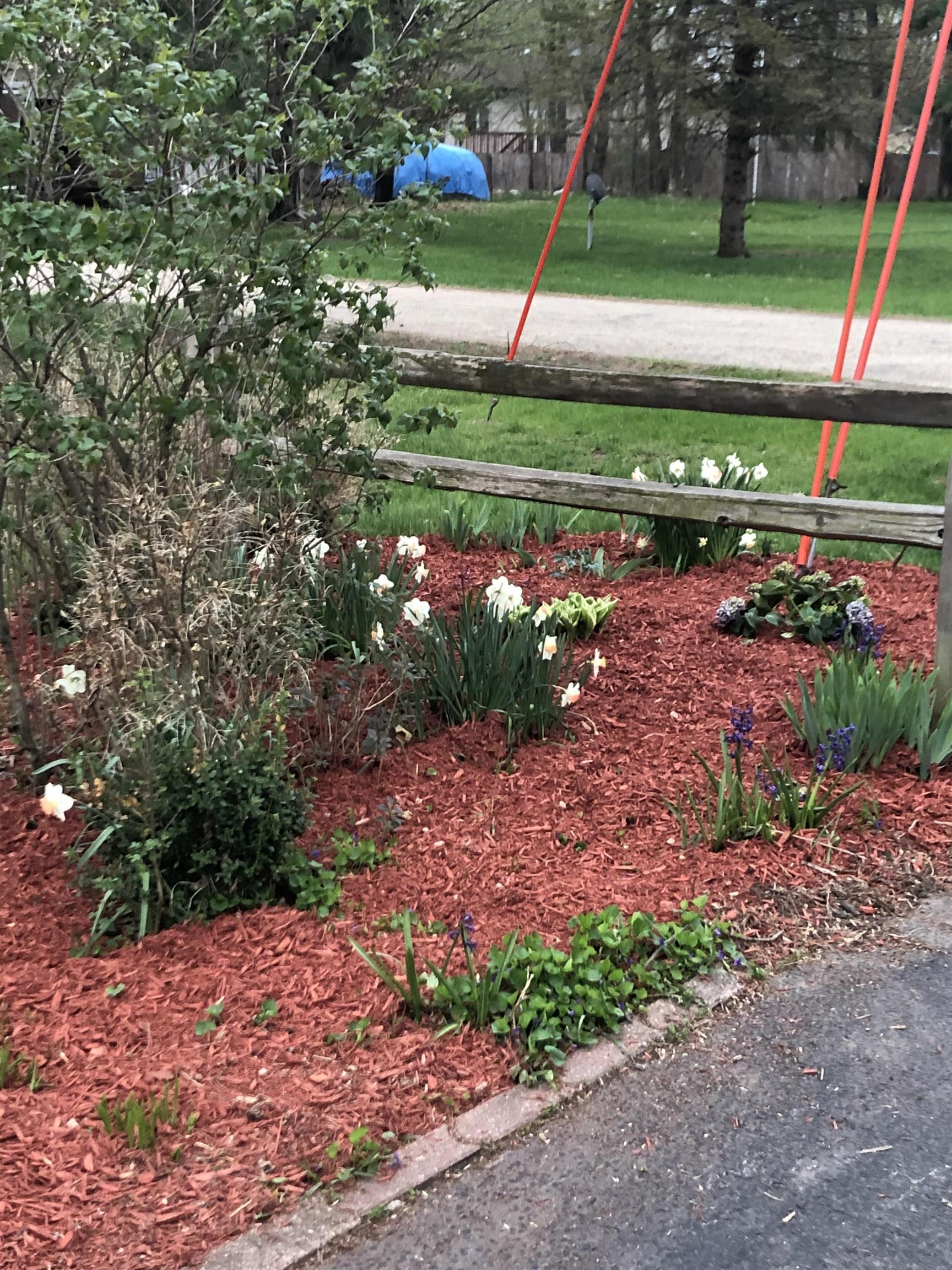 416 Herman Street Arena, WI 53503 - Photo 43 of 49