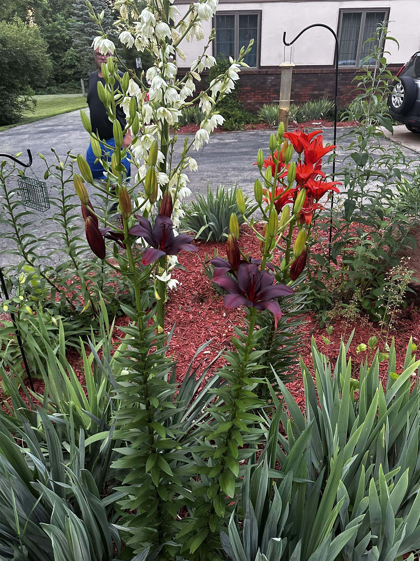 416 Herman Street Arena, WI 53503 - Photo 45 of 49