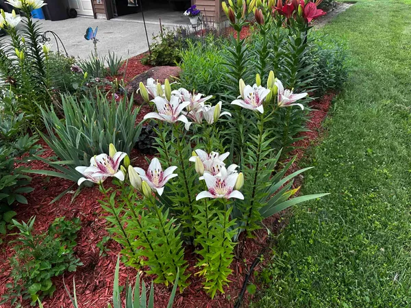 $420,000 | 416 Herman Street, Arena, WI 53503