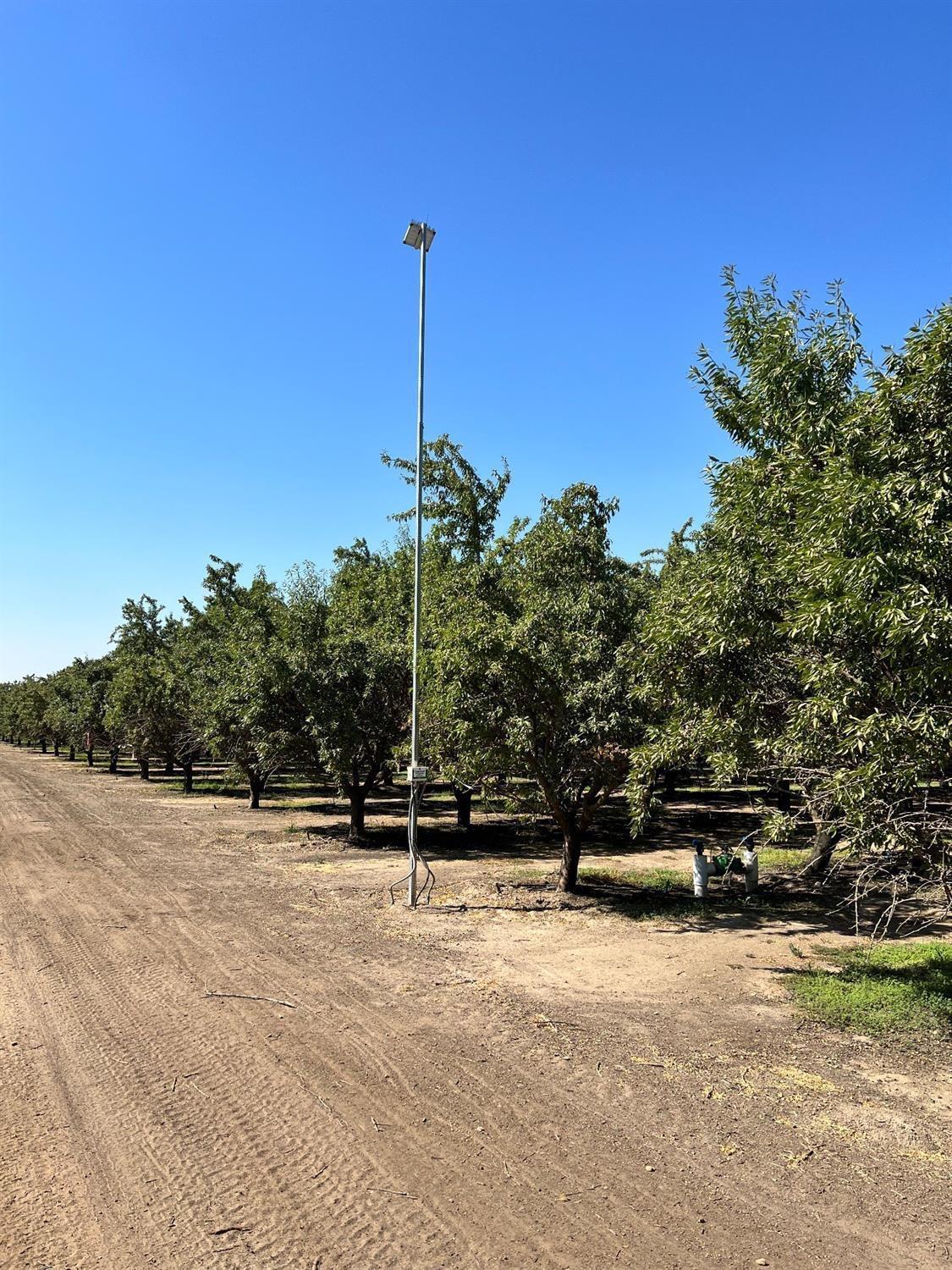 0 Ave 14 Madera, CA 93637 - Photo 3 of 13