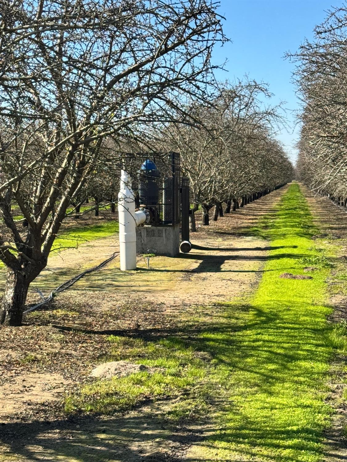 0 Ave 14 Madera, CA 93637 - Photo 9 of 13