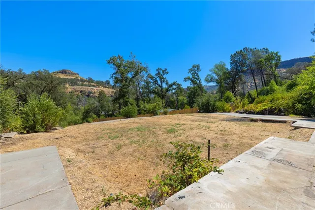 a view of a backyard with plants and lake view