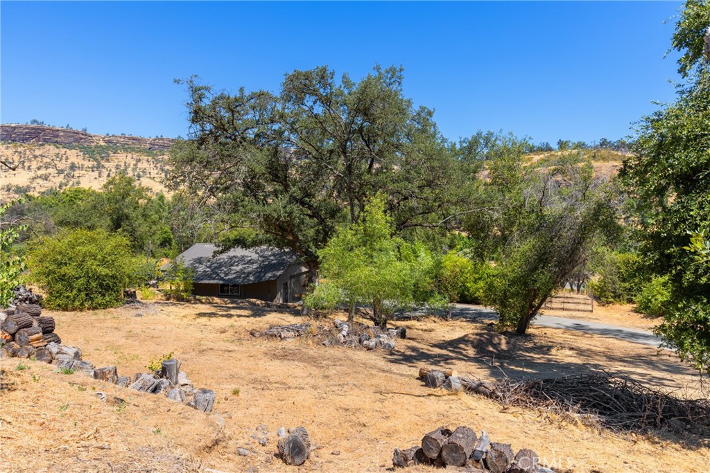 1926 Honey Run Road Chico, CA 95928 - Photo 16 of 24 a view of backyard with green space
