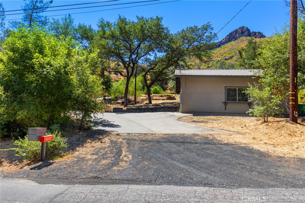 1926 Honey Run Road Chico, CA 95928 - Photo 6 of 24 a view of a backyard with plants and a large tree