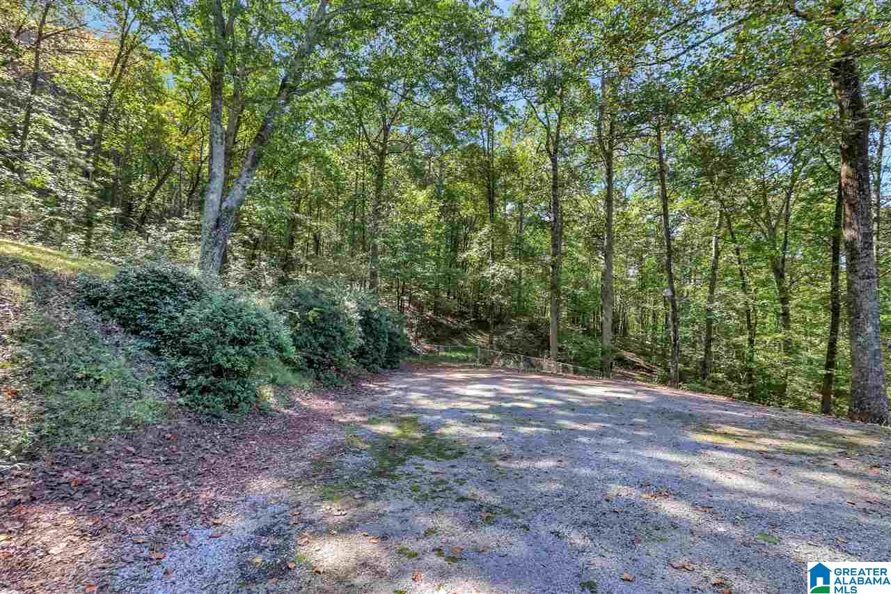 4429 Village Springs Road Springville, AL 35146 - Photo 18 of 18