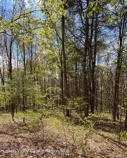 $222,000 | 67 Katzman Road, Ellenville, NY 12428