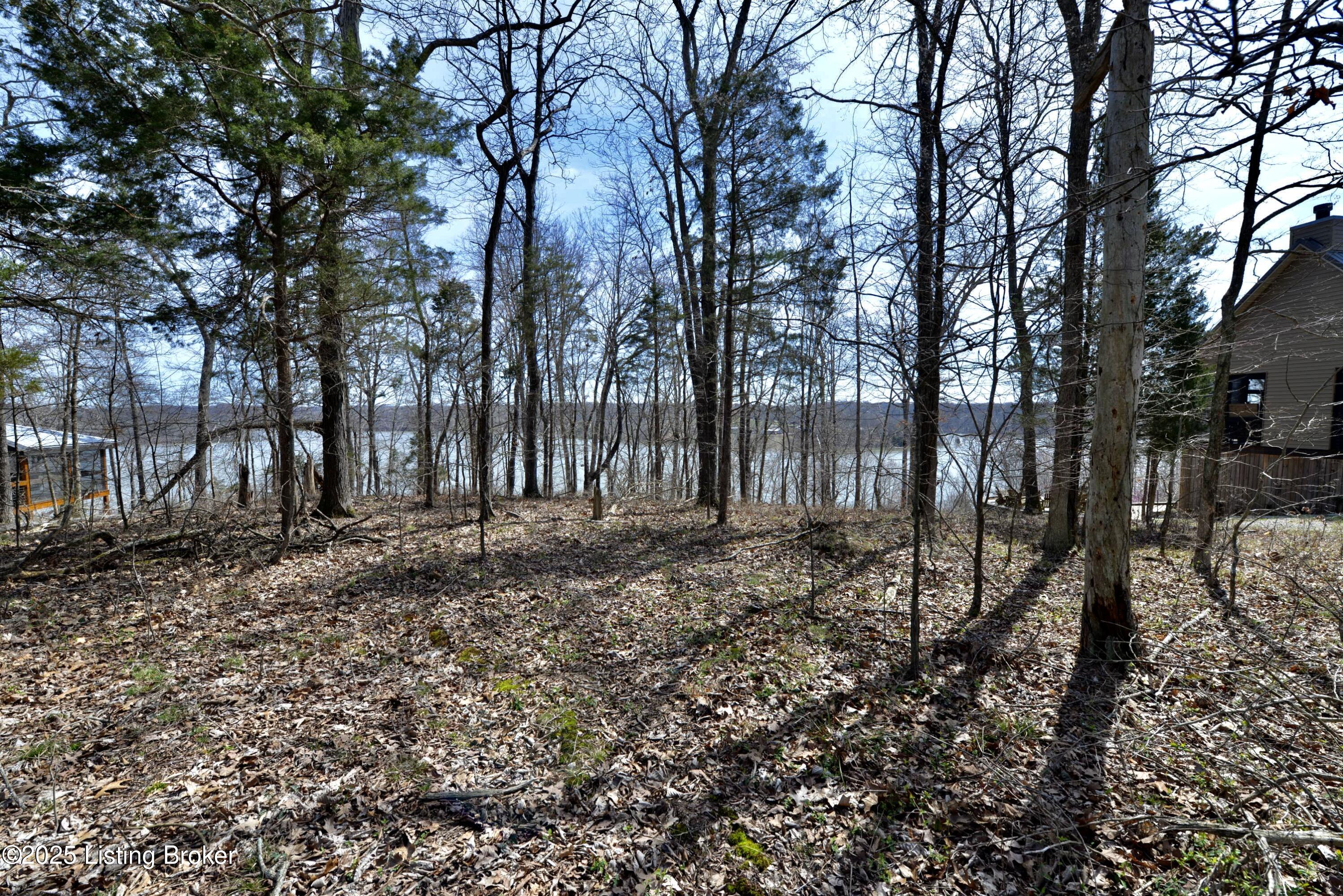 Lot 3 Cedar Point Road Bee Spring, KY 42207 - Photo 1 of 5 DSC_5338