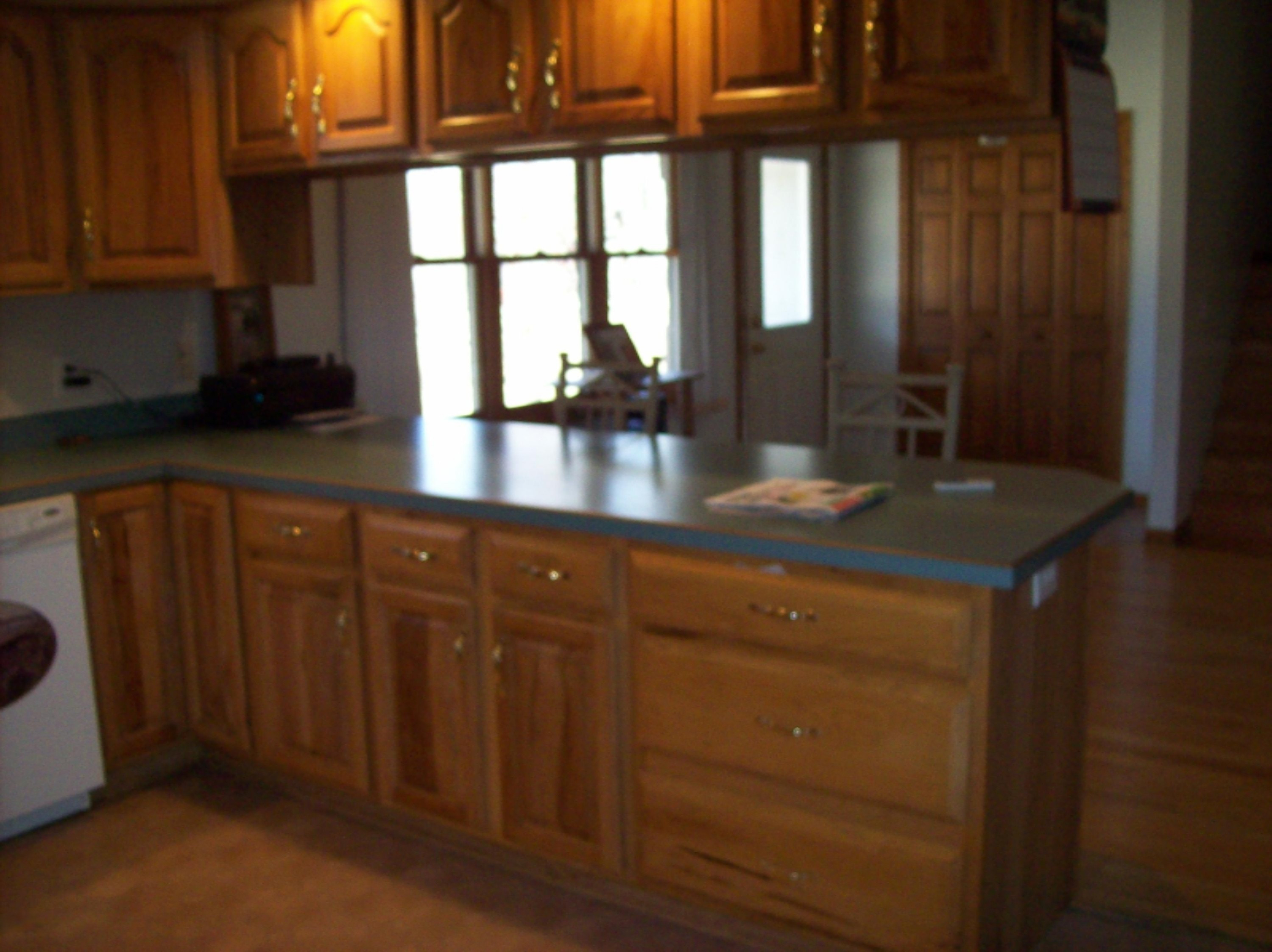261 South Stevenson Road Sheridan, MI 48884 - Photo 3 of 9 100_2670.JPG