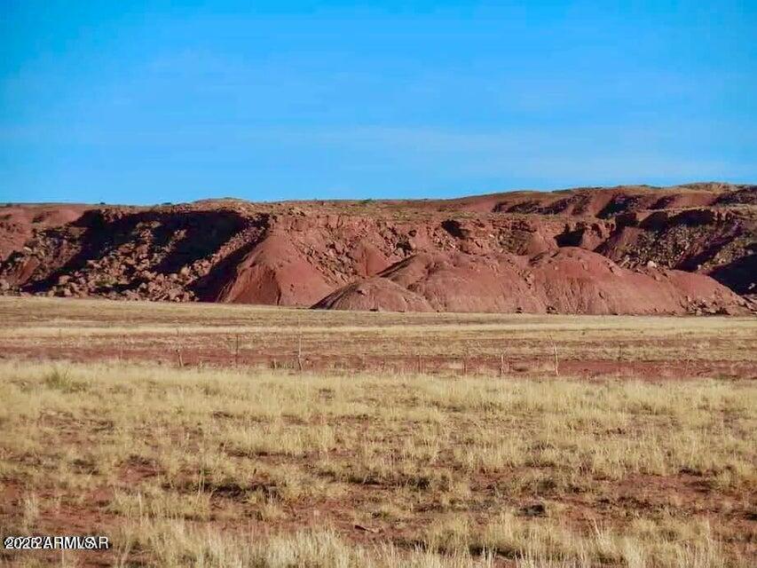 15 Co Road Chambers, AZ 86502 - Photo 1 of 23 20250713075805613784000000-o