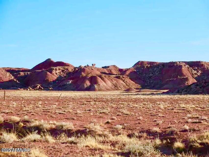 15 Co Road Chambers, AZ 86502 - Photo 15 of 23 20250713075743578513000000-o