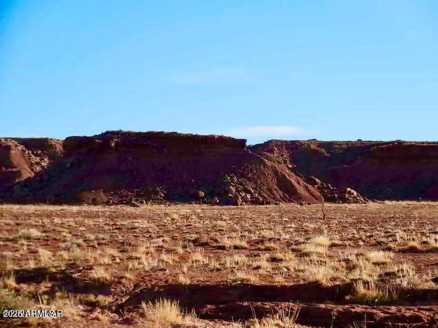 15 Co Road Chambers, AZ 86502 - Photo 16 of 23 20250713075753452276000000-o