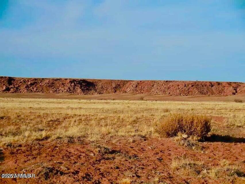 15 Co Road Chambers, AZ 86502 - Photo 17 of 23 20250713075817458539000000-o