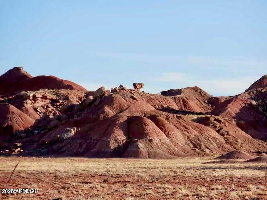 15 Co Road Chambers, AZ 86502 - Photo 2 of 23 20250713075901214558000000-o