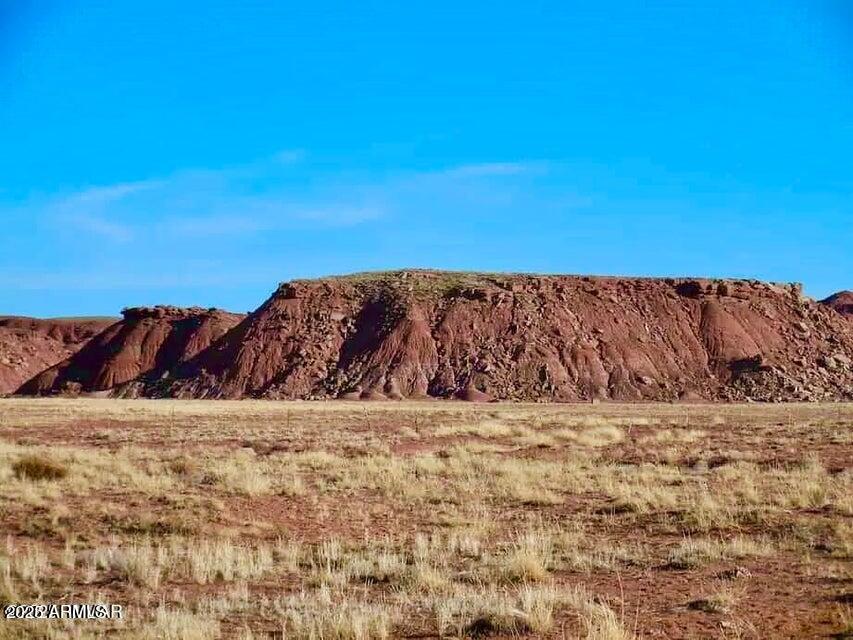 15 Co Road Chambers, AZ 86502 - Photo 4 of 23 20250713075838206085000000-o