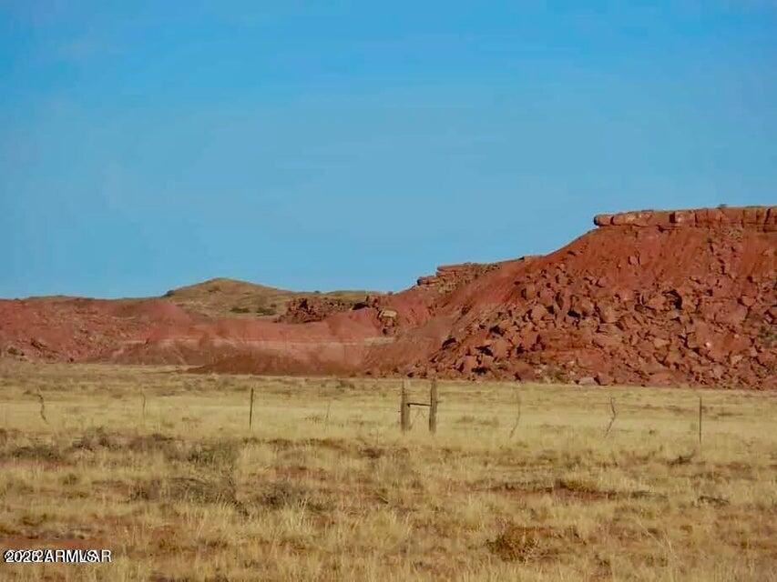 15 Co Road Chambers, AZ 86502 - Photo 5 of 23 20250713075716066941000000-o