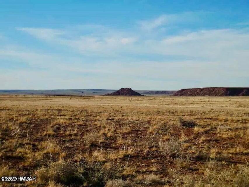 15 Co Road Chambers, AZ 86502 - Photo 6 of 23 20250713080027758811000000-o