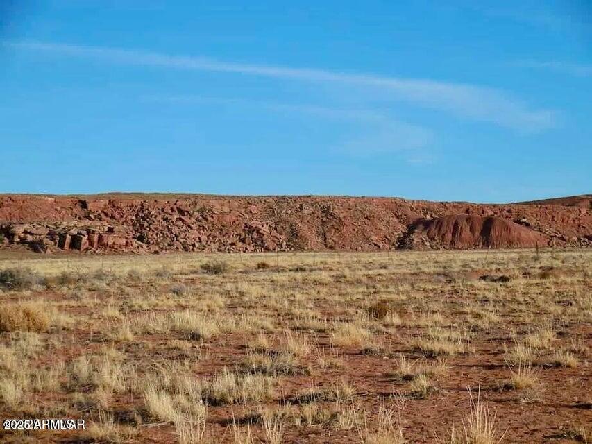 15 Co Road Chambers, AZ 86502 - Photo 8 of 23 20250713065546224502000000-o