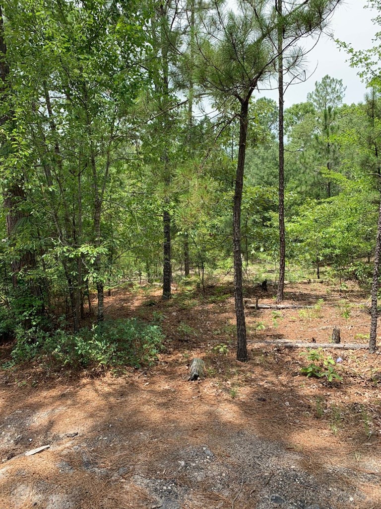 5677 Goldsboro Road Grovetown, GA 30813 - Photo 3 of 4