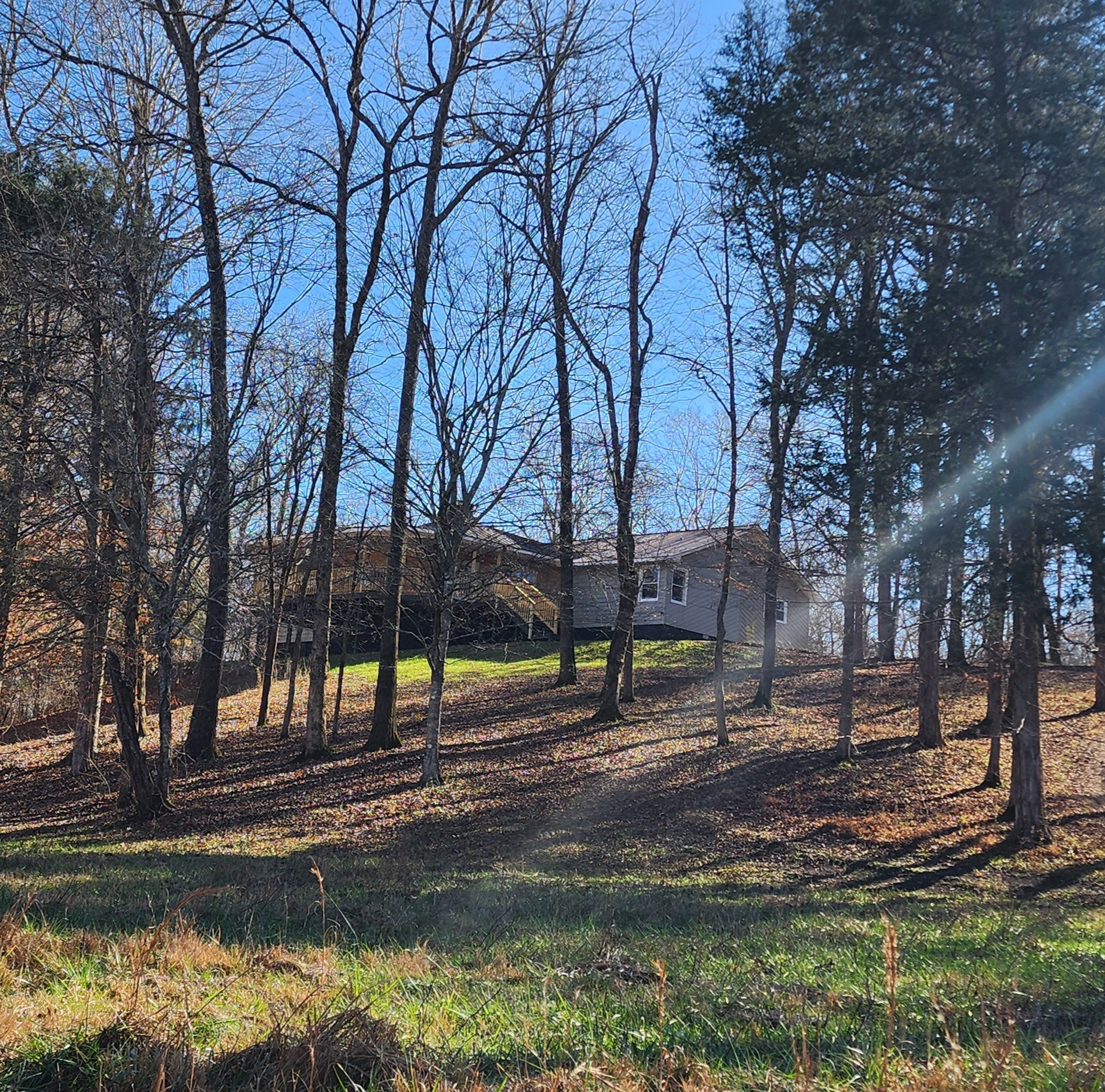 440 Deer Creek Road Linden, TN 37096 - Photo 11 of 45