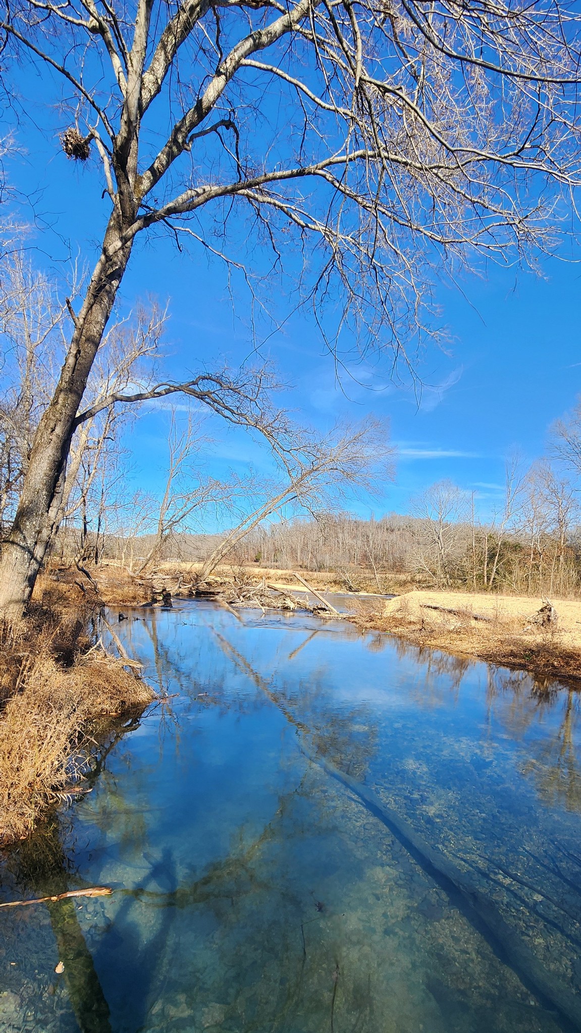 440 Deer Creek Road Linden, TN 37096 - Photo 12 of 45