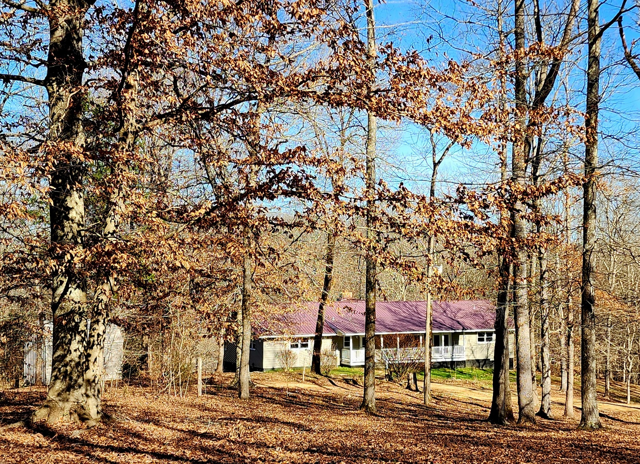 440 Deer Creek Road Linden, TN 37096 - Photo 9 of 45