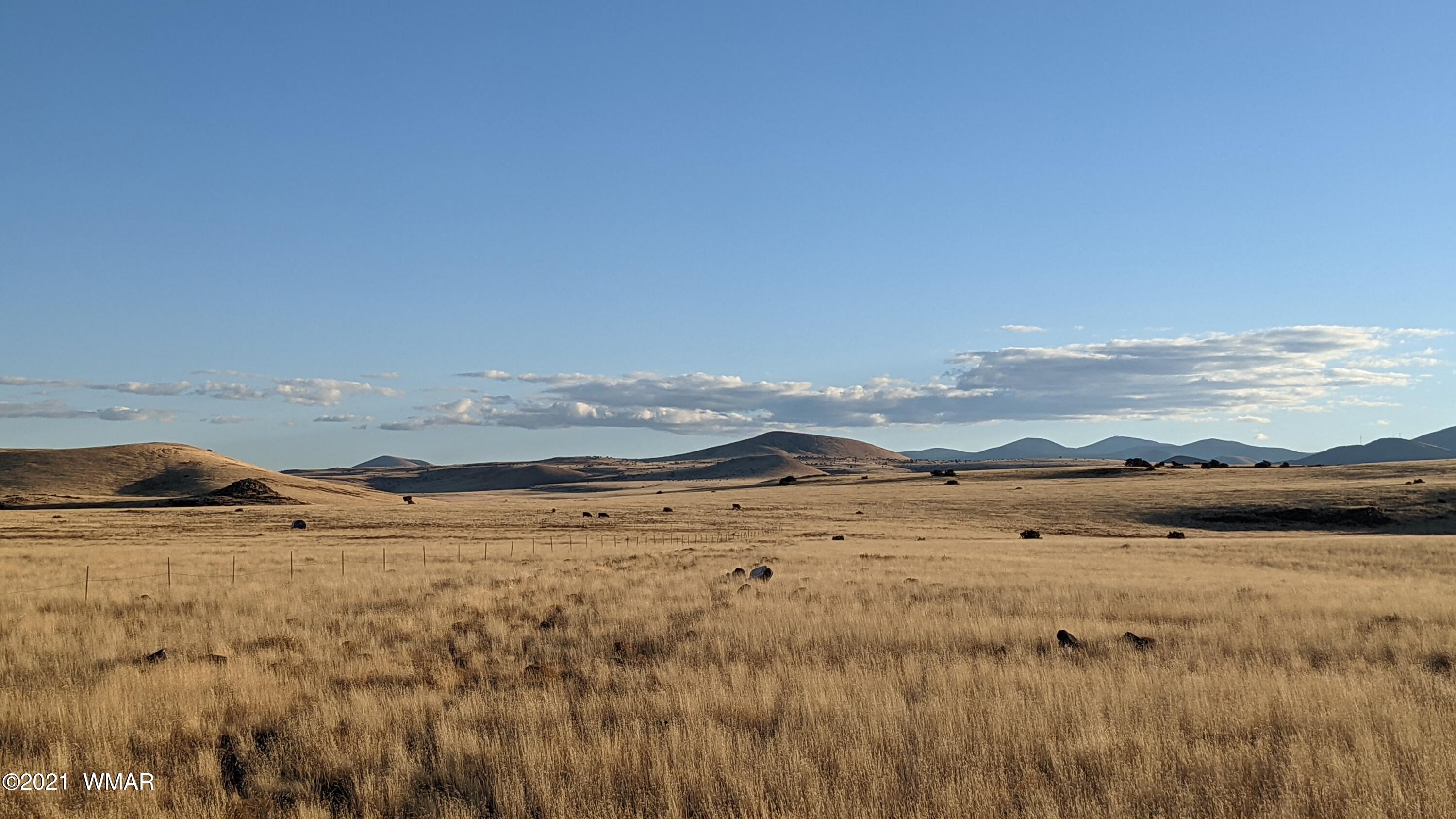 Lot 50 Cedar Gulch Ranch Concho, AZ 85924 - Photo 1 of 15