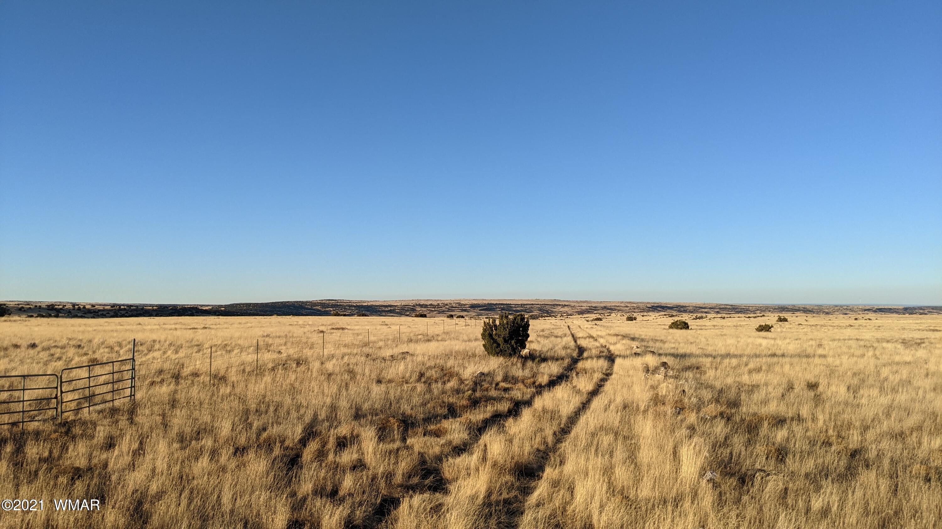 Lot 50 Cedar Gulch Ranch Concho, AZ 85924 - Photo 11 of 15