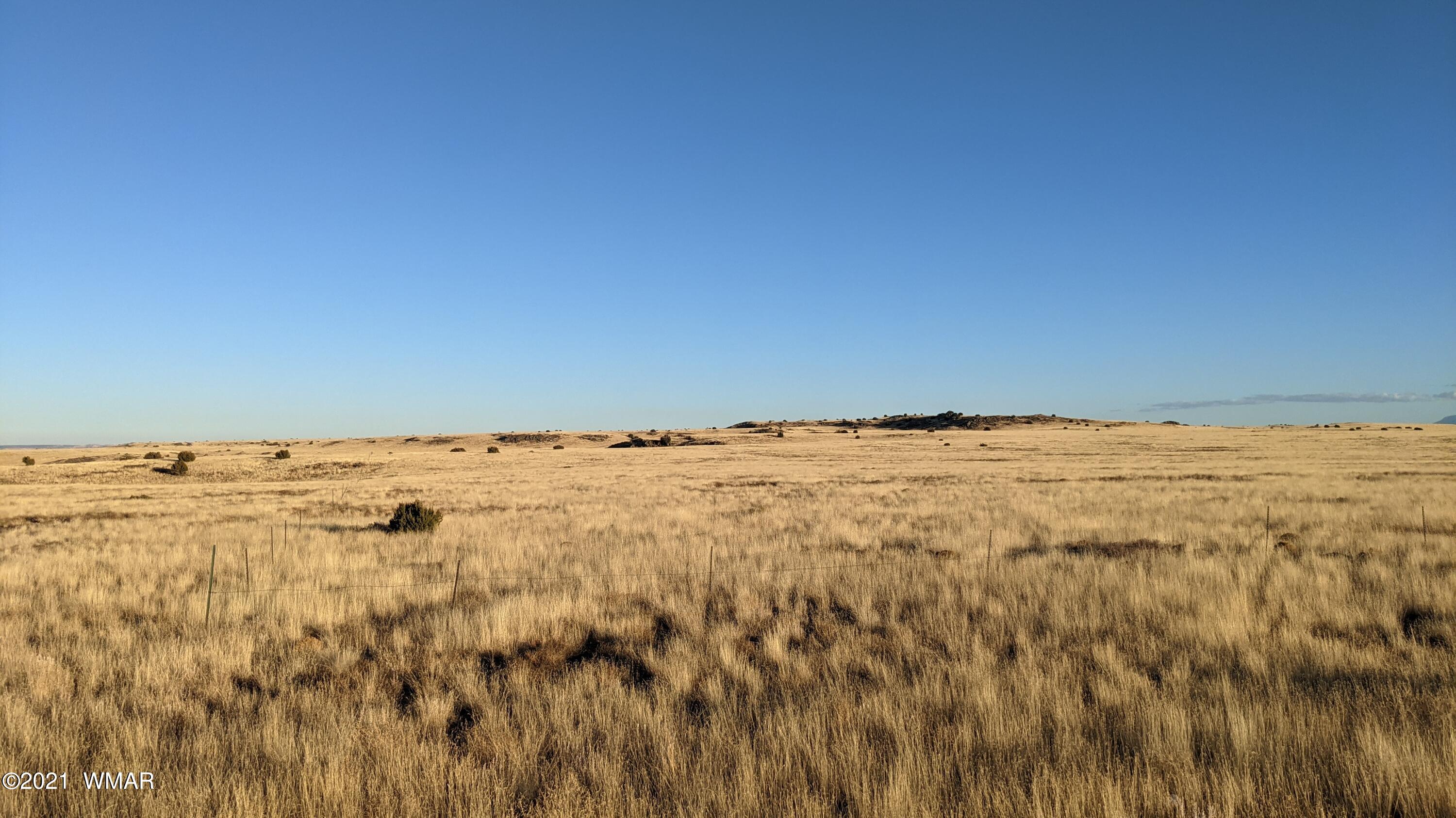 Lot 50 Cedar Gulch Ranch Concho, AZ 85924 - Photo 12 of 15