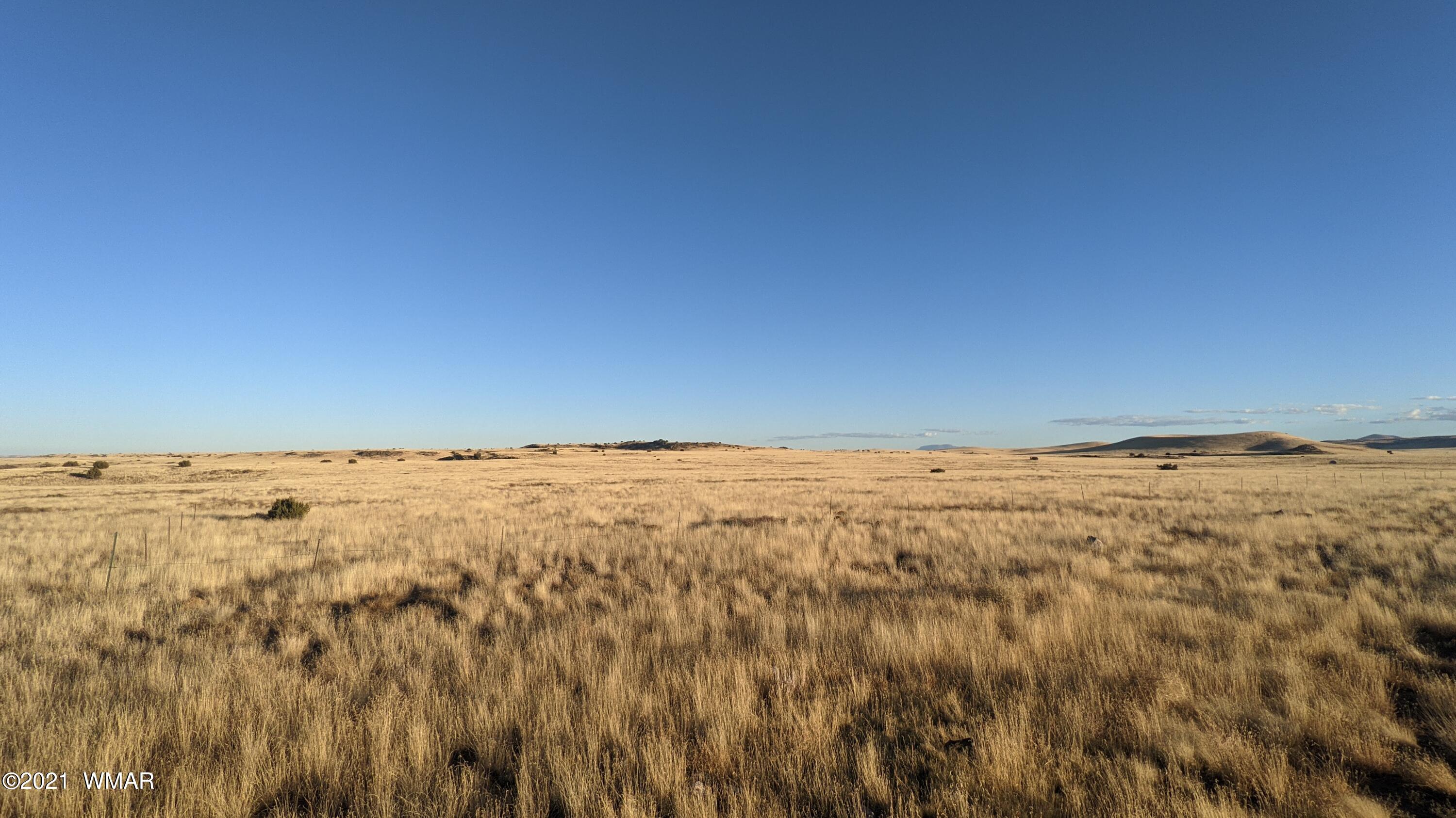 Lot 50 Cedar Gulch Ranch Concho, AZ 85924 - Photo 13 of 15