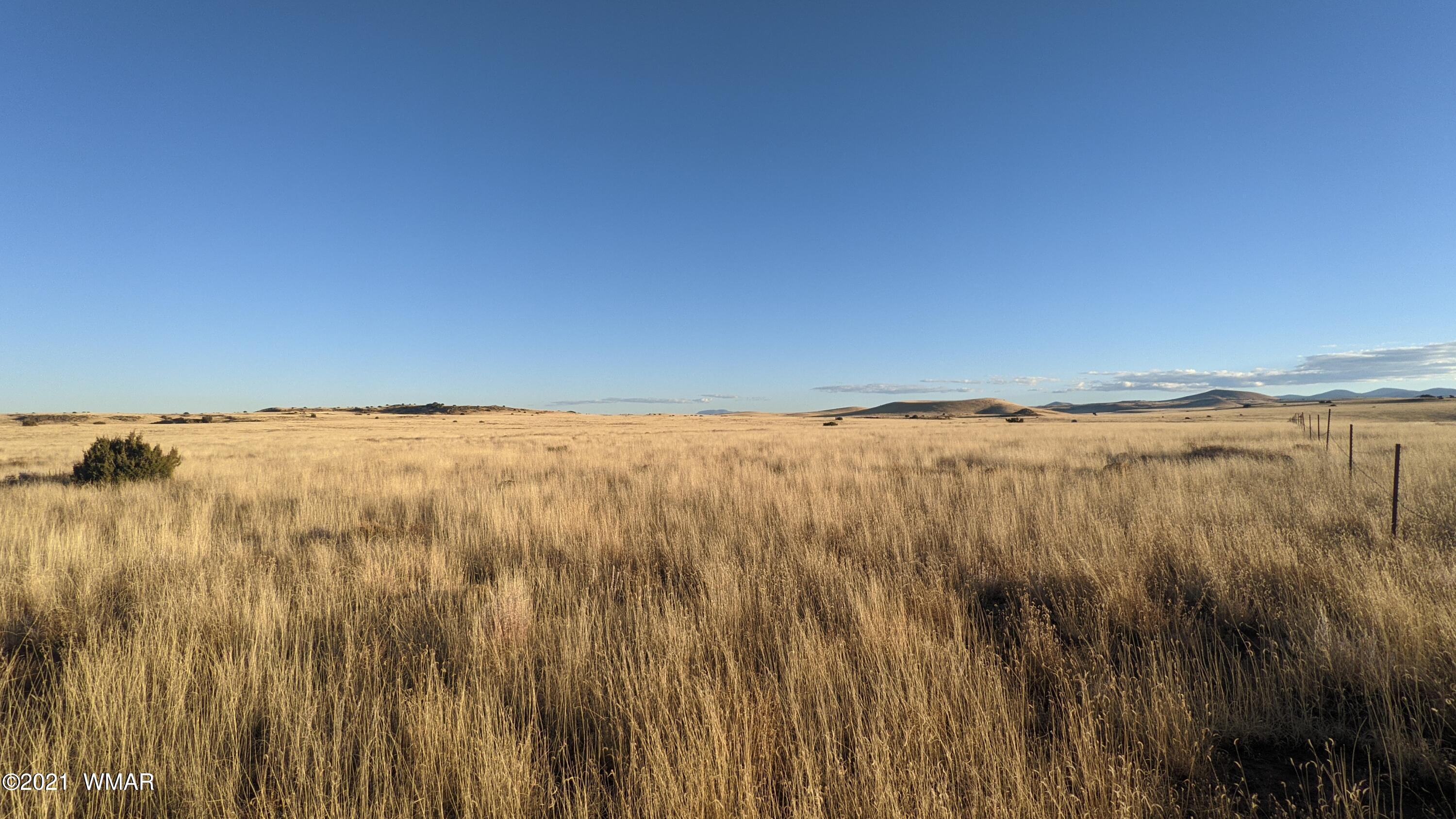 Lot 50 Cedar Gulch Ranch Concho, AZ 85924 - Photo 14 of 15