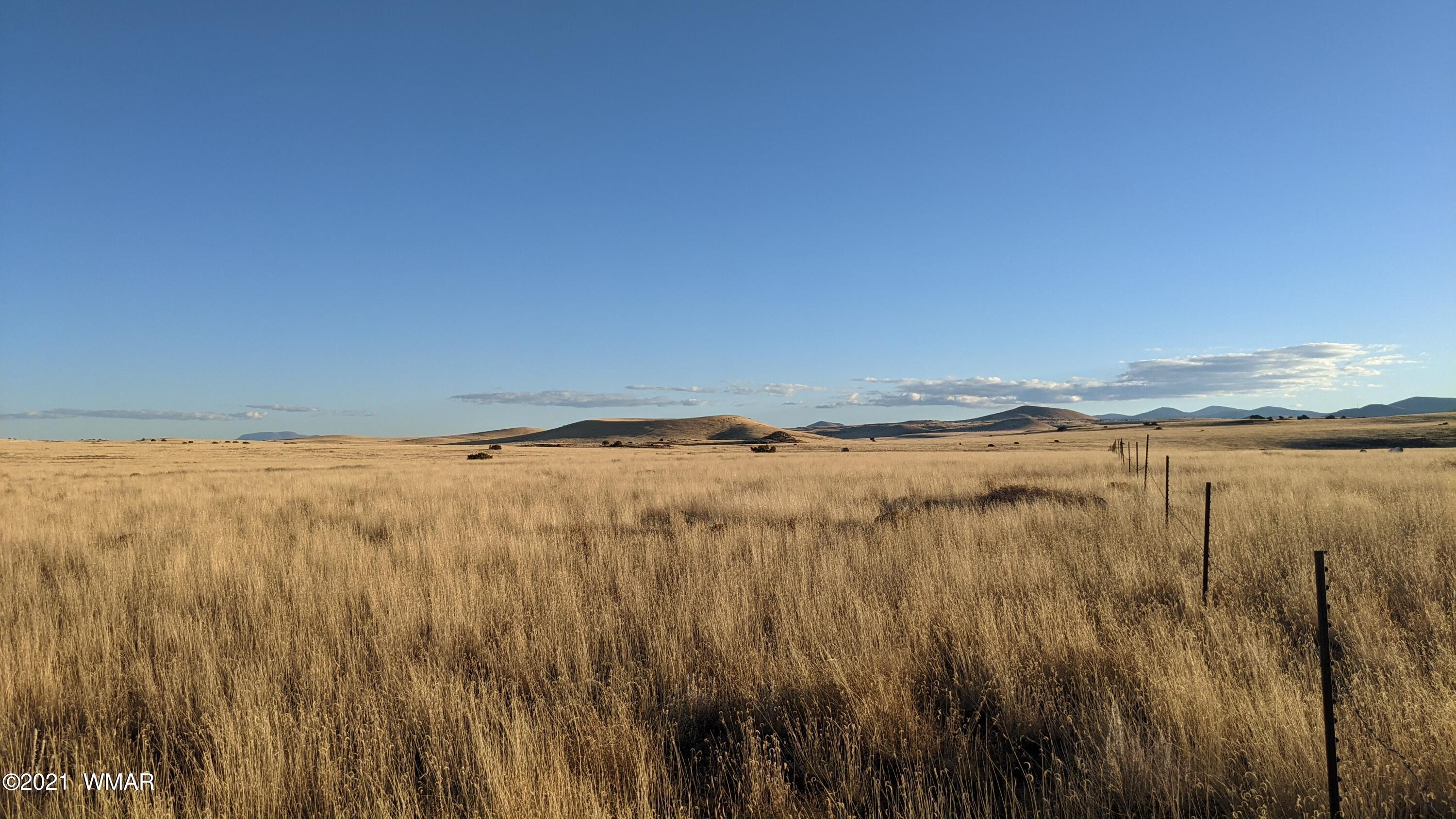 Lot 50 Cedar Gulch Ranch Concho, AZ 85924 - Photo 2 of 15
