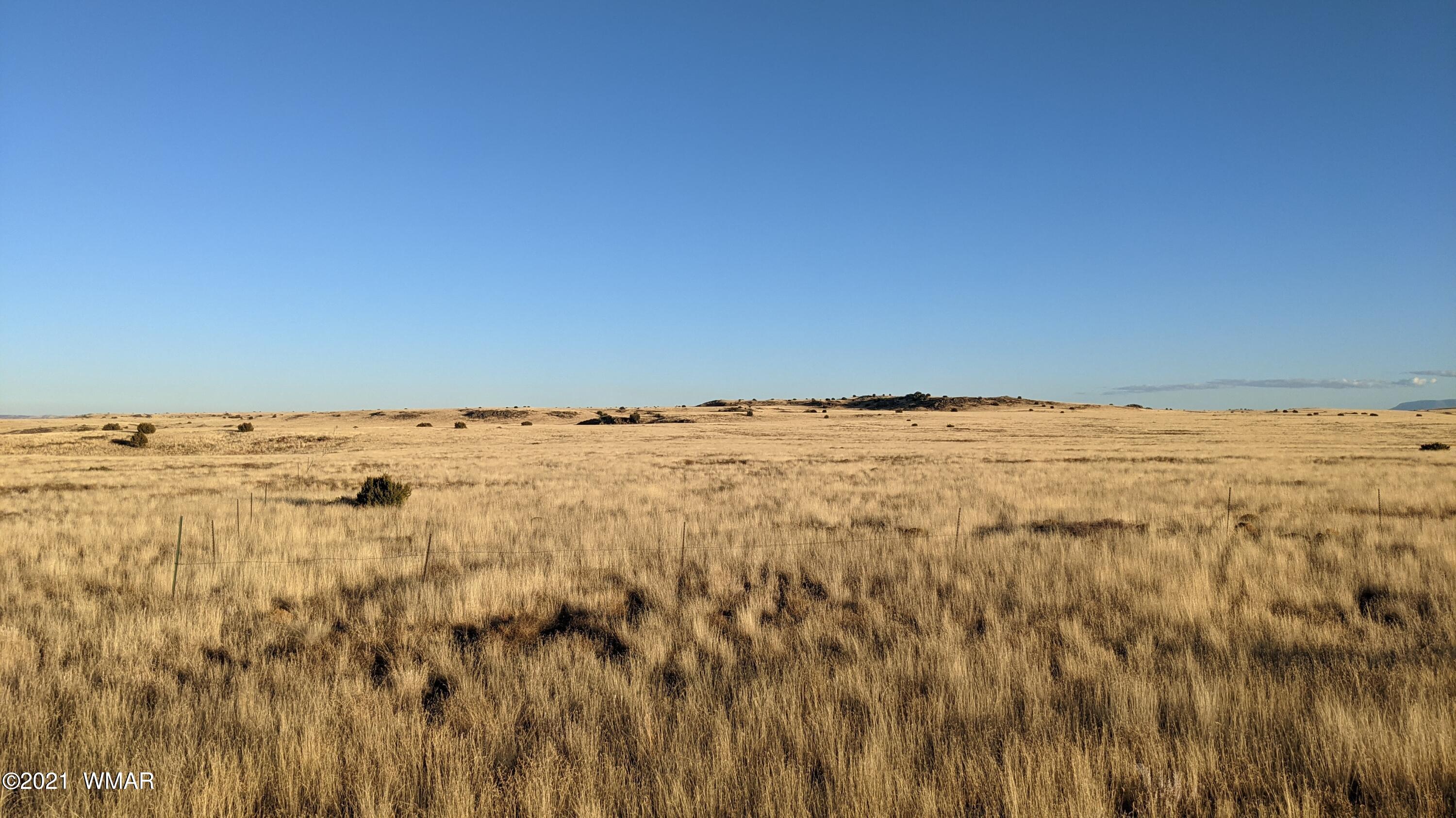 Lot 50 Cedar Gulch Ranch Concho, AZ 85924 - Photo 3 of 15