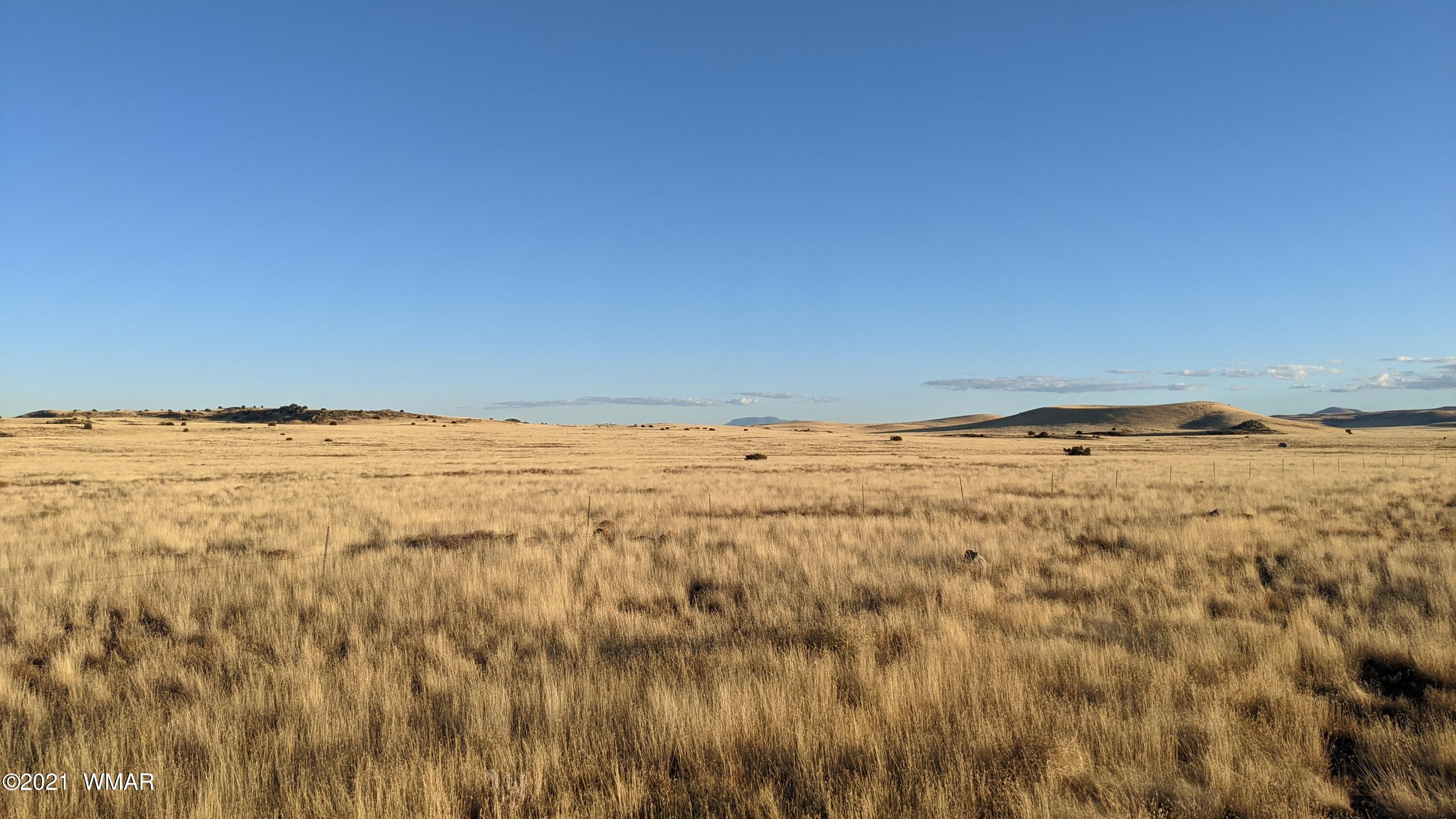Lot 50 Cedar Gulch Ranch Concho, AZ 85924 - Photo 4 of 15