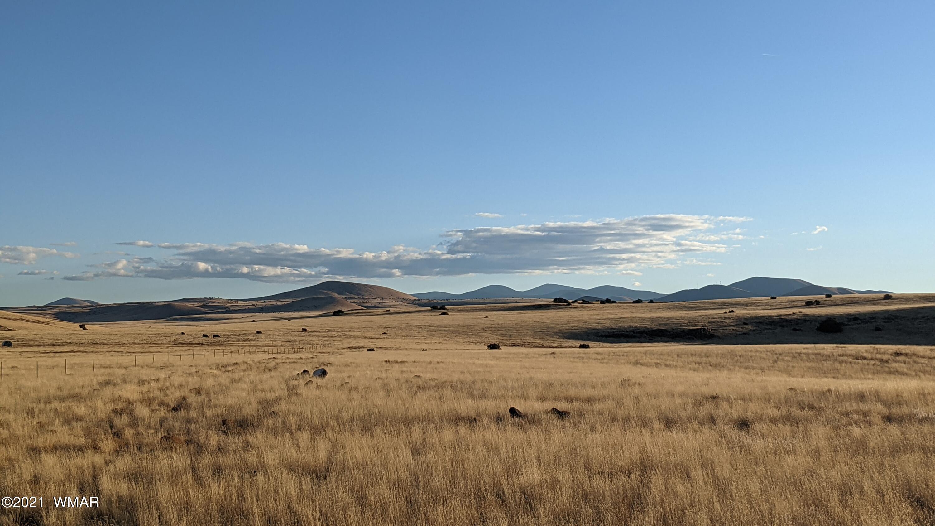 Lot 50 Cedar Gulch Ranch Concho, AZ 85924 - Photo 5 of 15