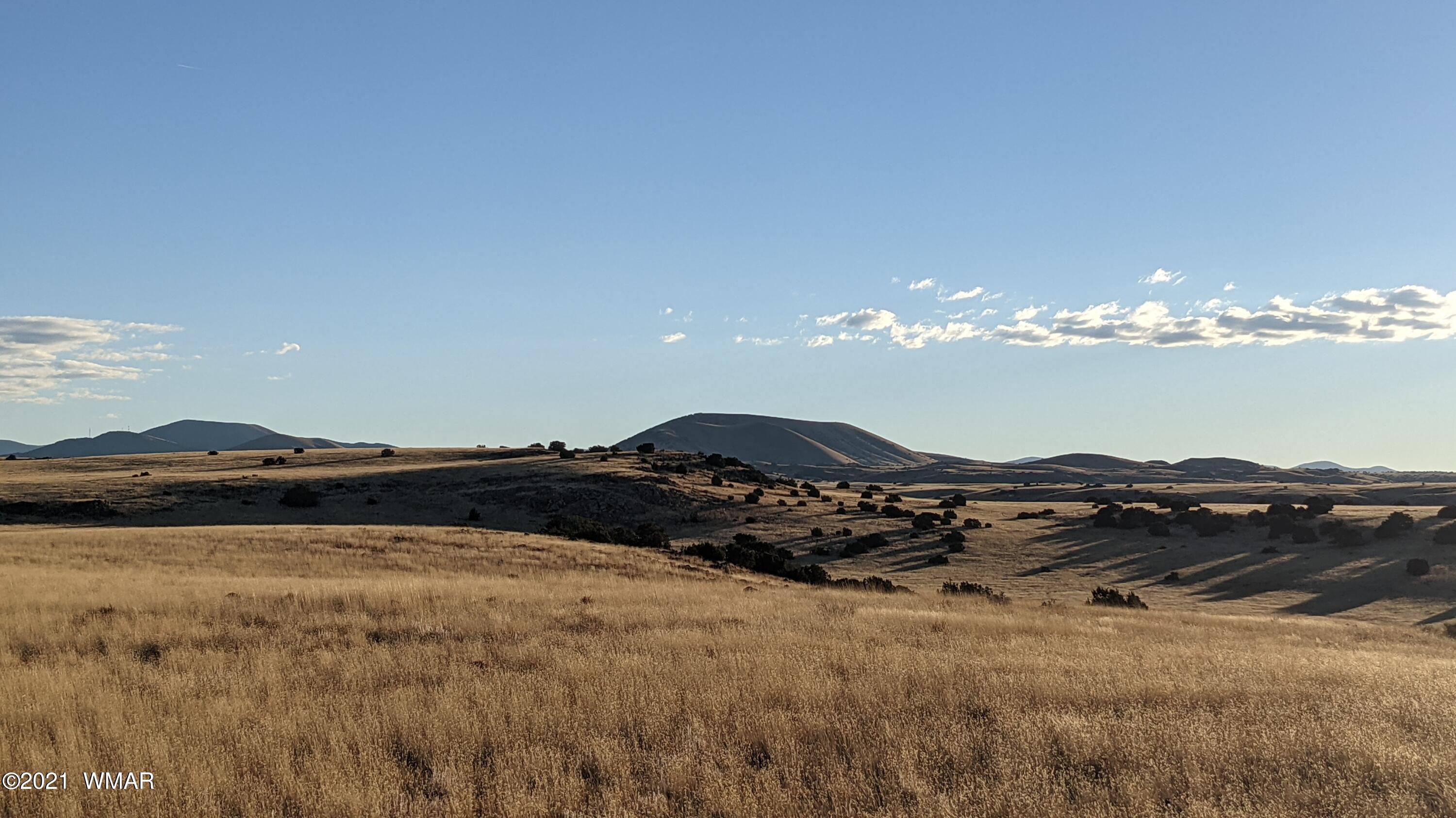 Lot 50 Cedar Gulch Ranch Concho, AZ 85924 - Photo 6 of 15