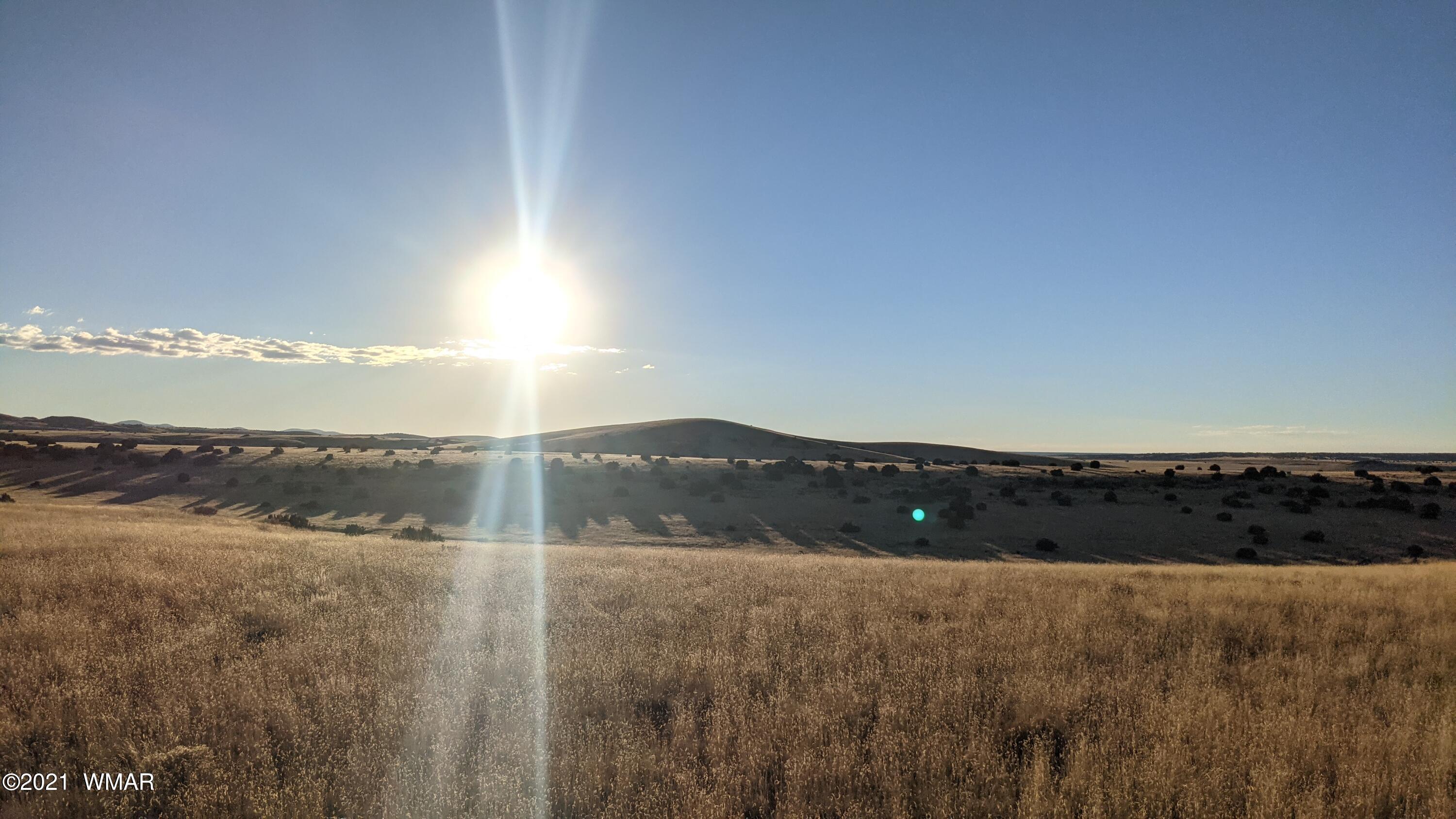 Lot 50 Cedar Gulch Ranch Concho, AZ 85924 - Photo 8 of 15