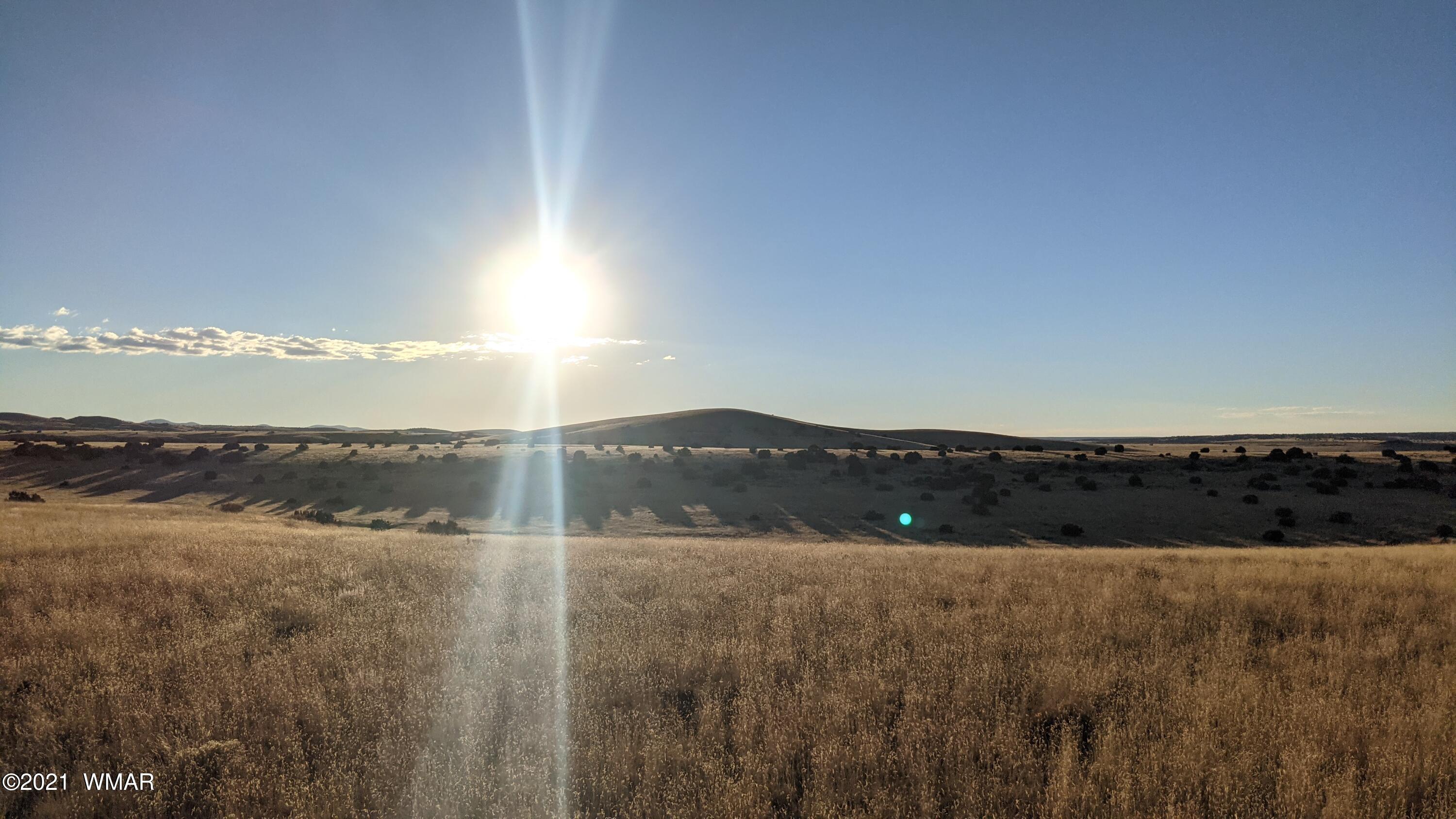 Lot 50 Cedar Gulch Ranch Concho, AZ 85924 - Photo 9 of 15