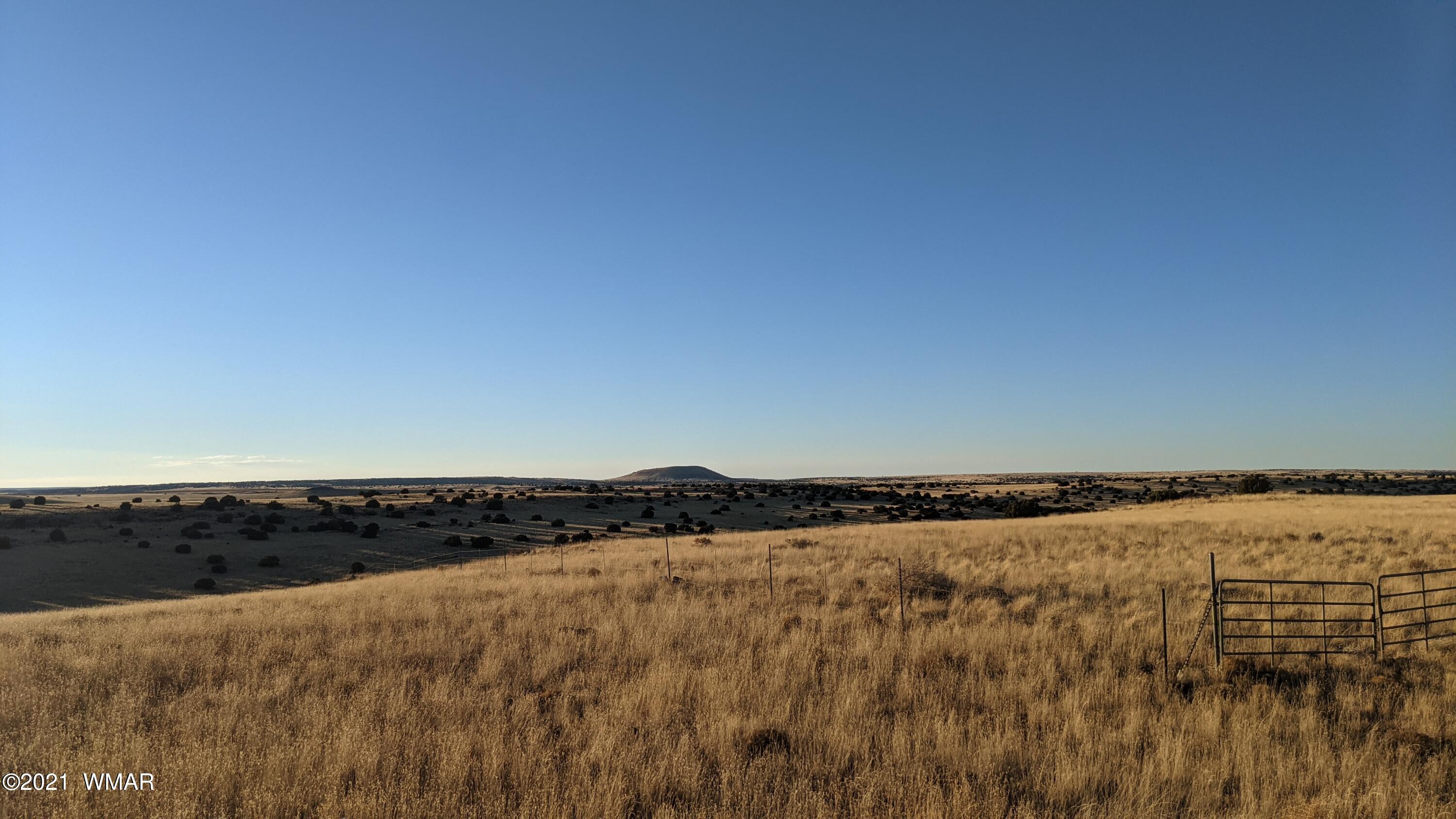Lot 50 Cedar Gulch Ranch Concho, AZ 85924 - Photo 10 of 15
