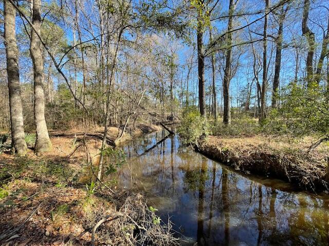 117 Oak Estates Way Ridgeville, SC 29472 - Photo 22 of 26 IMG_3797
