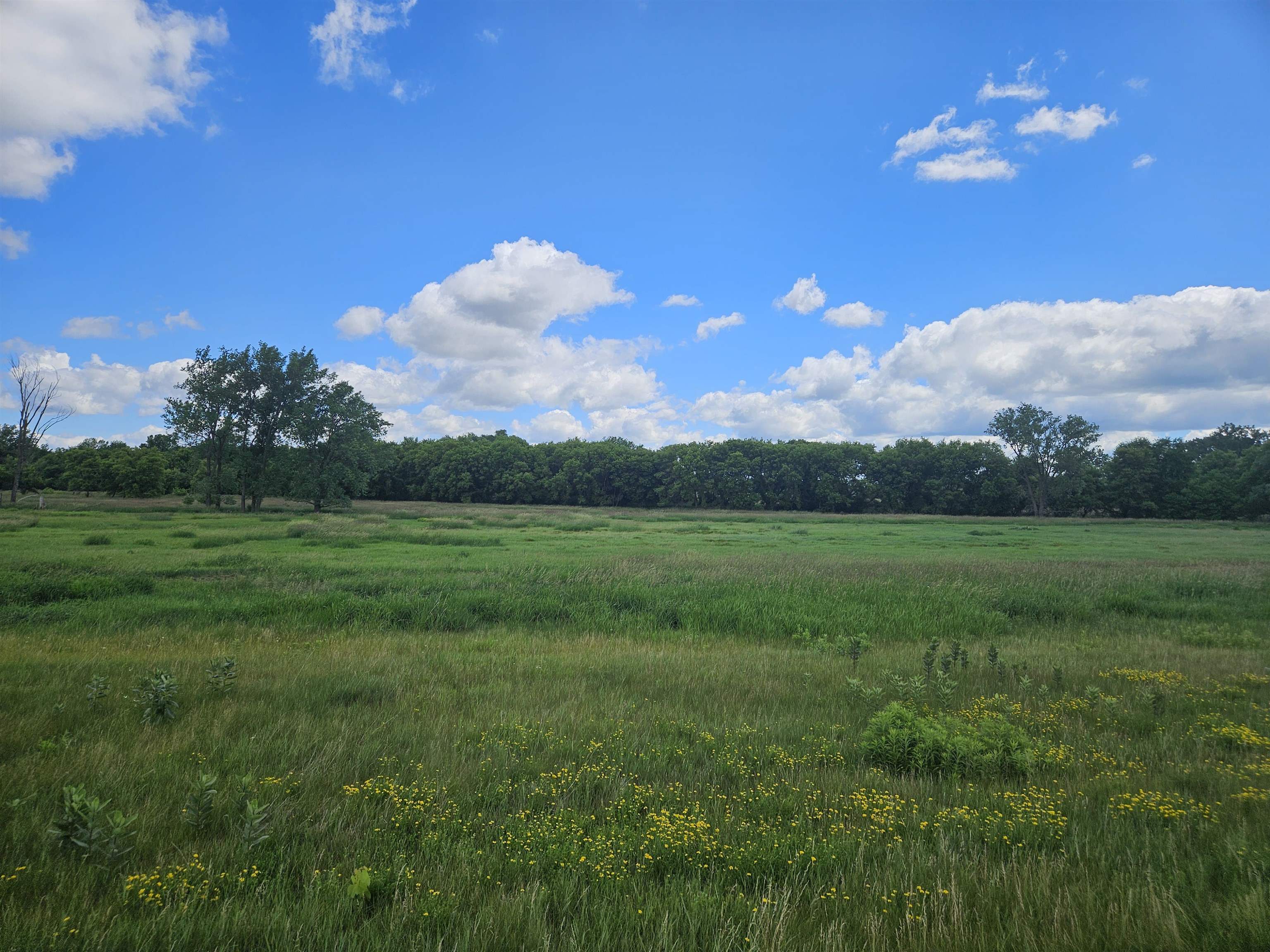 6904 East Buckeye Road Madison, WI 53718 - Photo 42 of 42