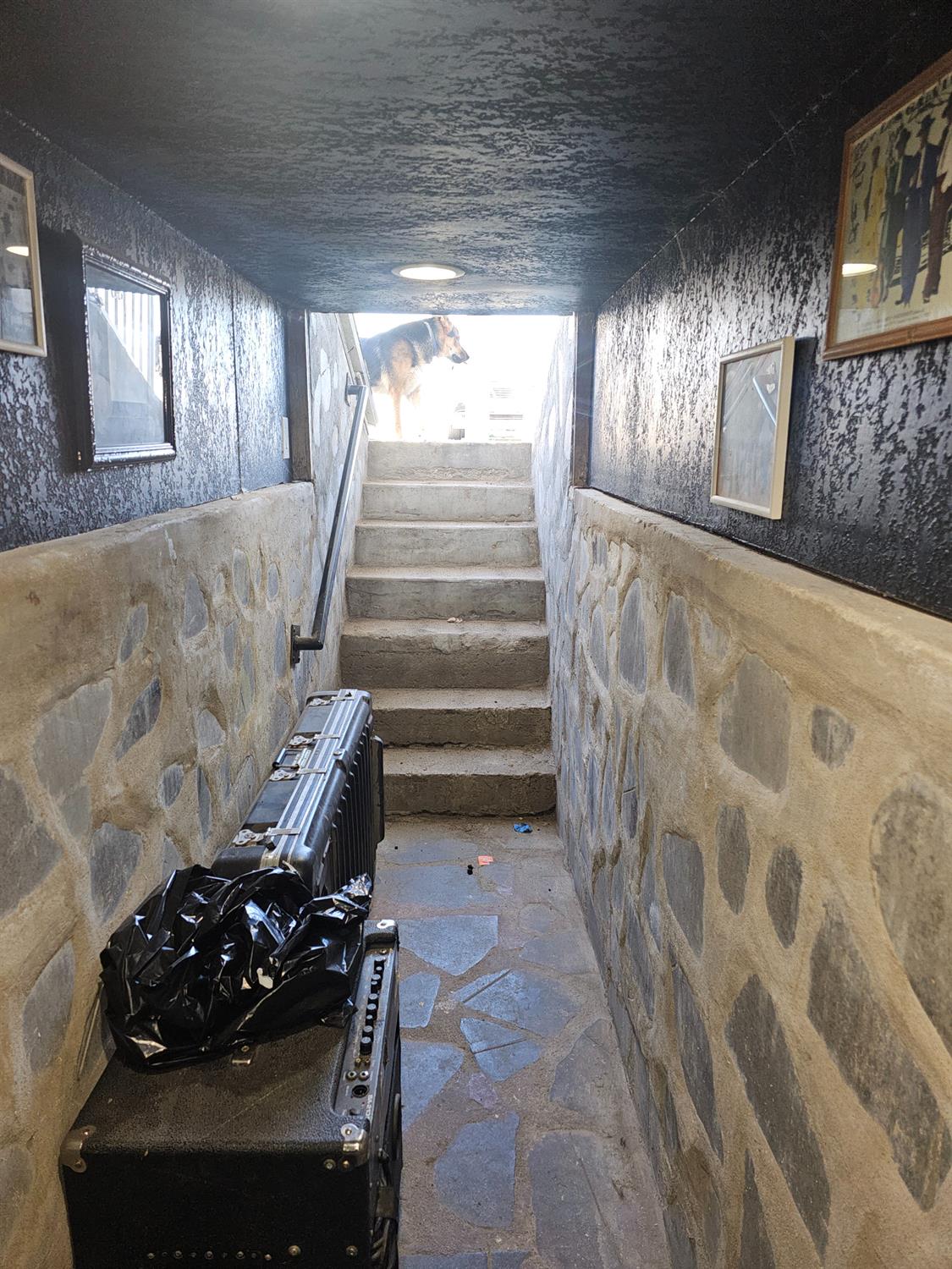 450 C Street Fresno, CA 93706 - Photo 16 of 22 a view of entryway with stairs and wooden floor