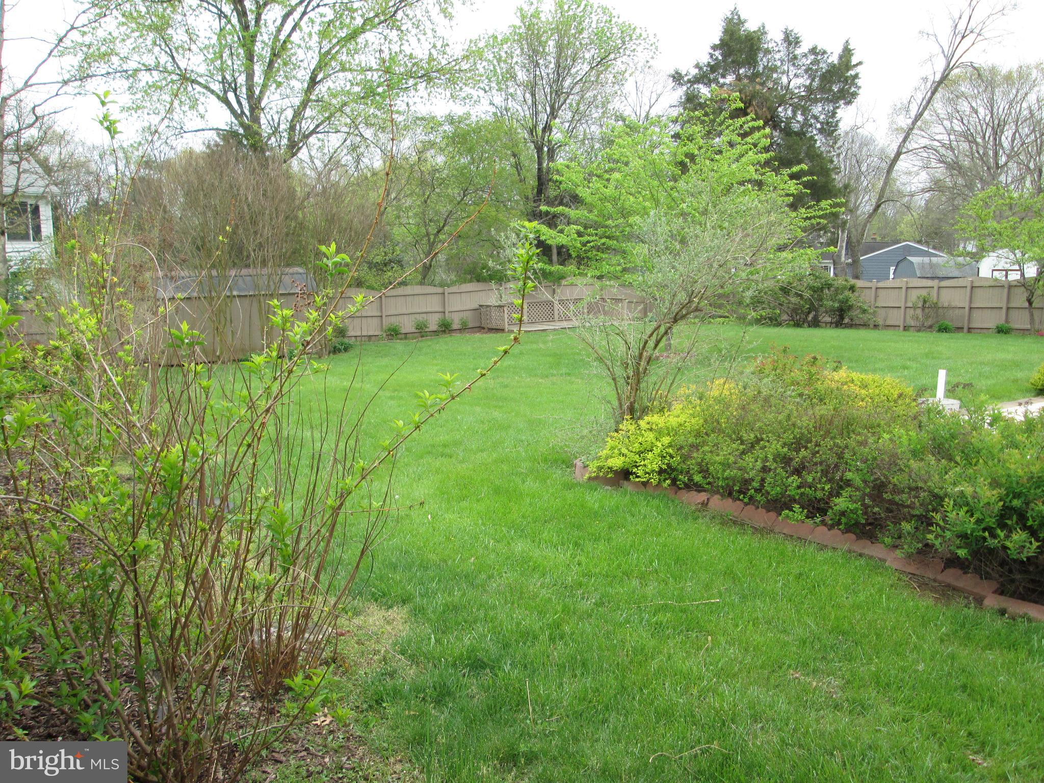 7401 Castle Road Manassas, VA 20109 - Photo 37 of 45 Back Yard Pic 4