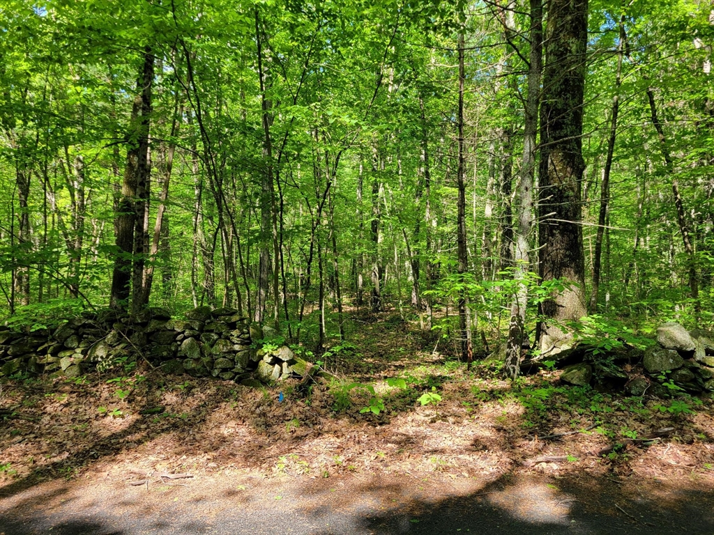 Lot 8 Daniels Road Dudley, MA 01571 - Photo 2 of 4