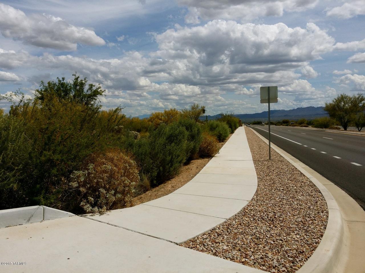 0 West Twin Peaks Road Tucson, AZ 85742 - Photo 6 of 13 a view of a dry yard with large trees