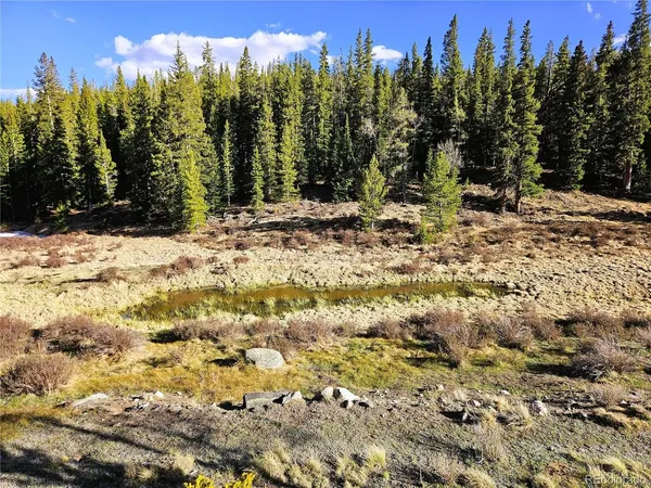 $495,000 | 7765 Rollie's Trail, Alma, CO 80420