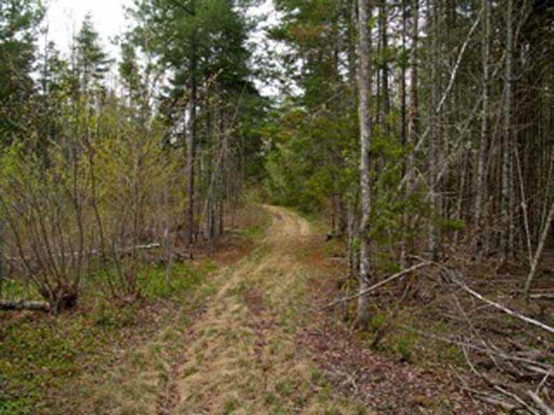 Off Hale Farm Road Lee, ME 04455 - Photo 7 of 13 Land.