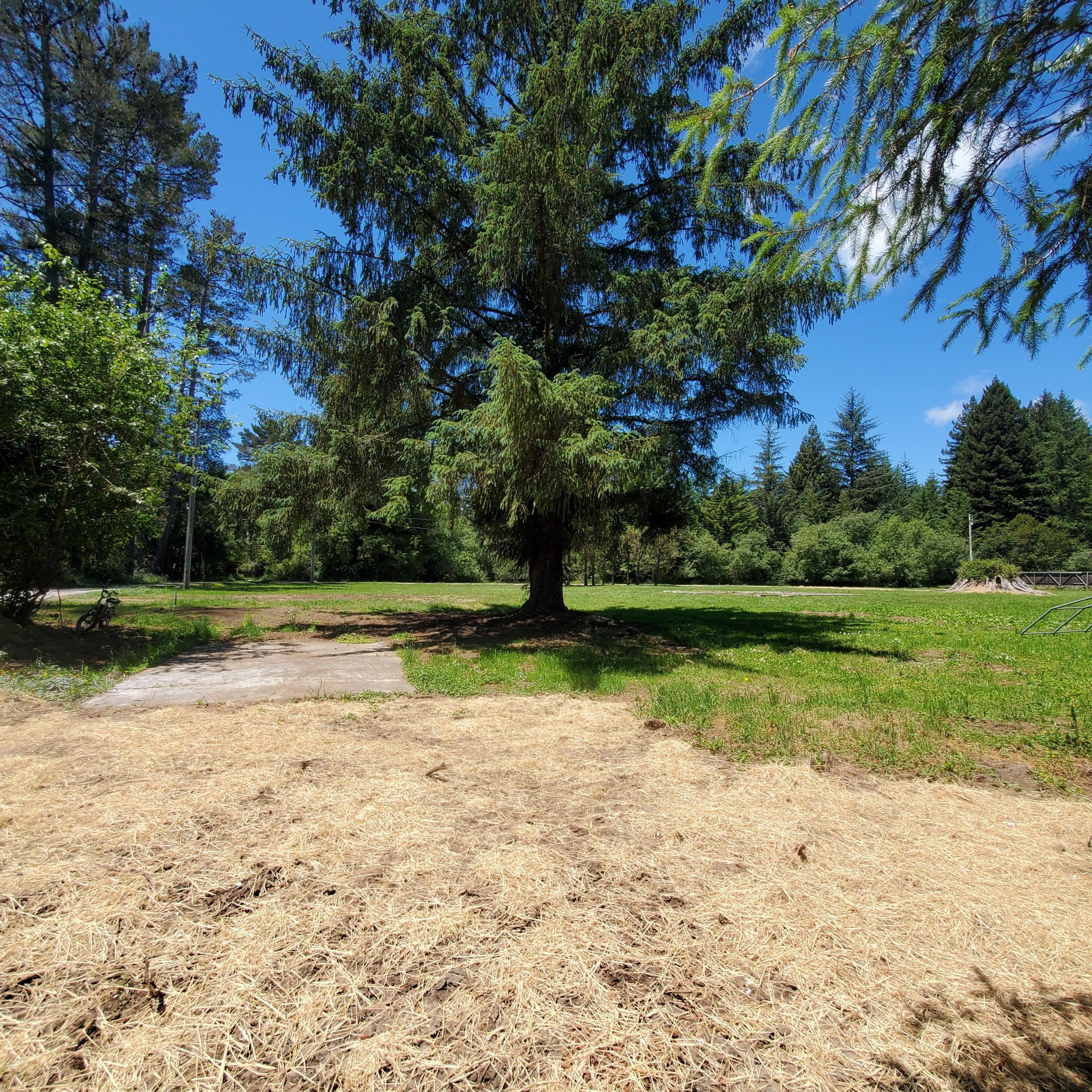 209 Kingston Road Fieldbrook, CA 95519 - Photo 14 of 18 Southeast corner